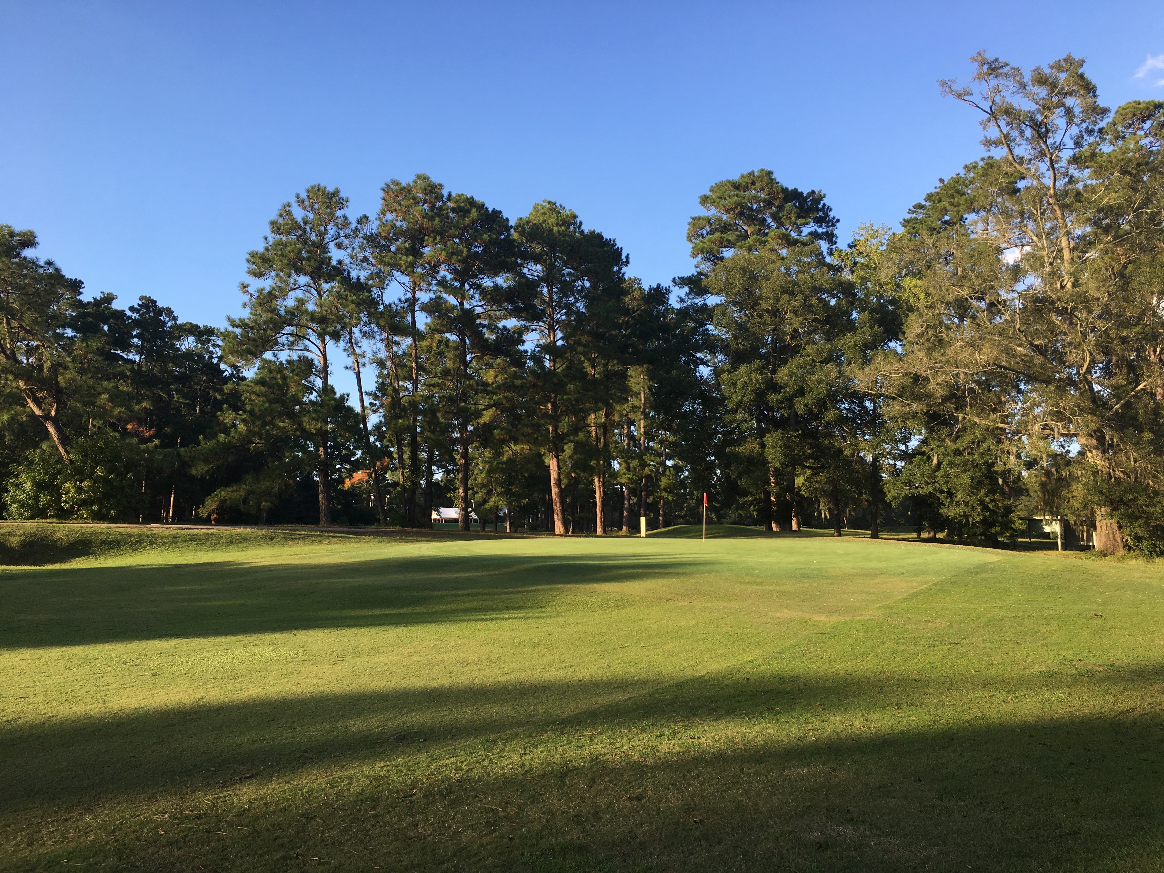 The thirteenth green at Summerville Country Club in late-afternoon light, framed by long-needle pines and live oaks.